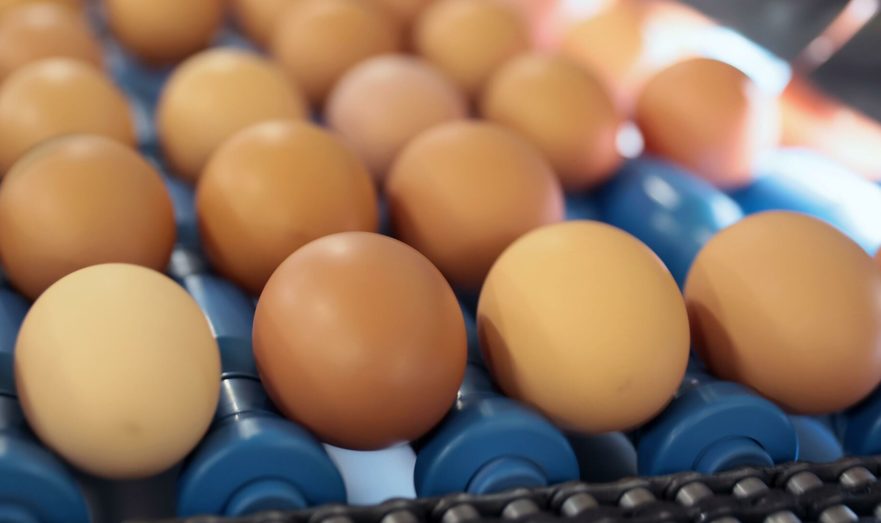 В продуктовых магазинах может наблюдаться дефицит яиц