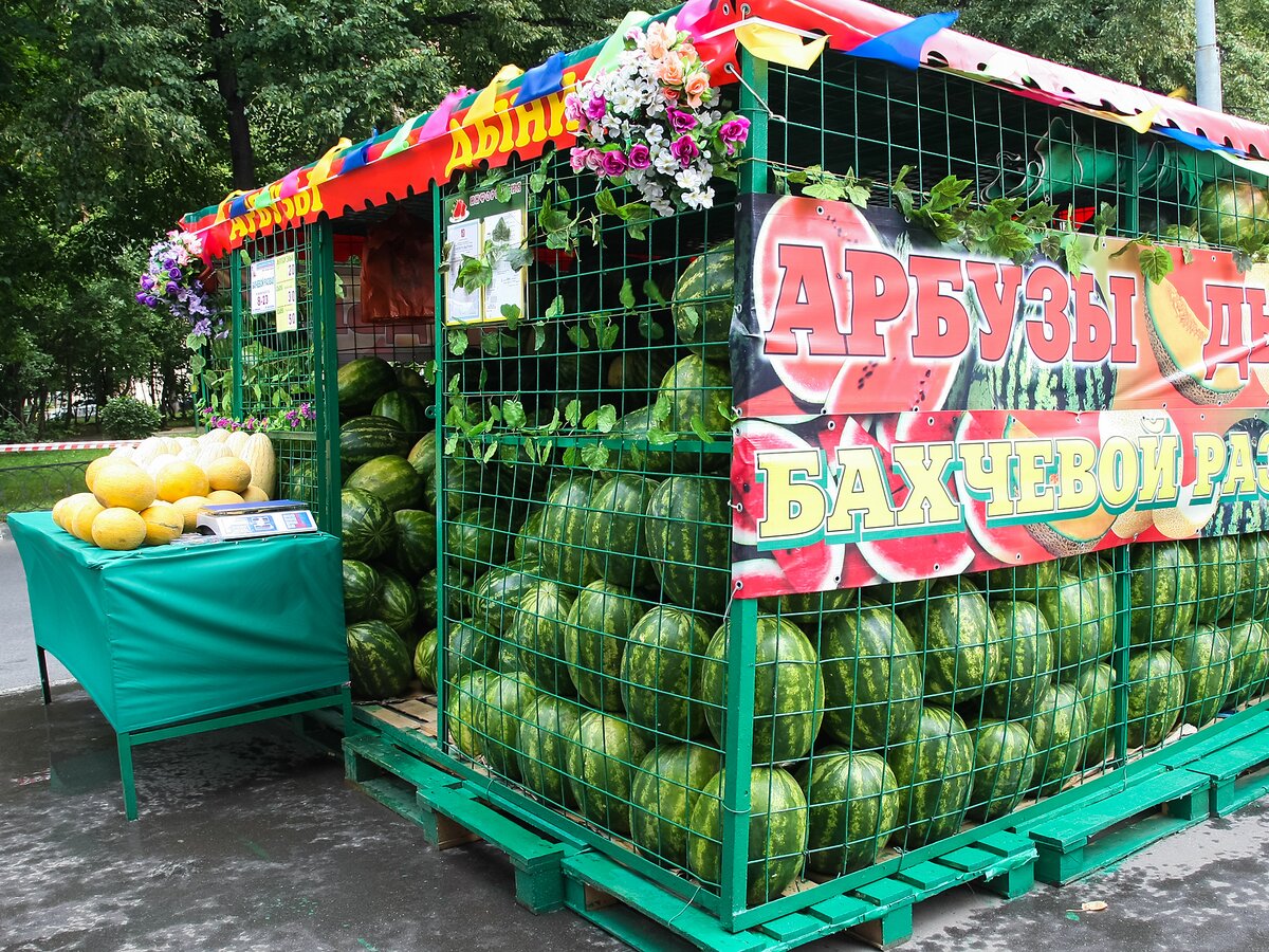 Где Купить Арбуз В Марте